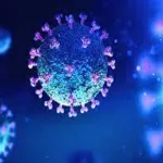 nouveau-variant-covid-19-voici-les-7-pays-d-afrique-australes-interdits-de-venir-en-france