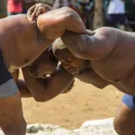 lutte-traditionnelle-un-tournoi-prevu-le-4-decembre-prochain-a-n-douci