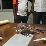 treichville-un-presume-trafiquant-d-ivoire-et-de-poils-d-elephant-mis-aux-arrets
