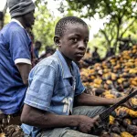 travail-des-enfants-un-enfant-africain-sur-cinq-est-victime-du-travail-des-enfants-bureau-international-du-travail