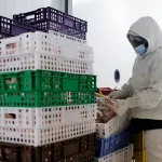 cote-d-ivoire-annexe-fiscale-2022-tout-sur-les-mesures-de-soutien-aux-entreprises-et-a-l-emploi-l-etat-renonce-a-plusieurs-millions-de-fcfa