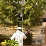 dimbokro-des-abeilles-braquent-les-clients-d-une-agence-financiere