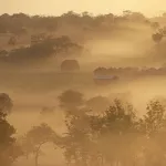 meteo-en-cote-d-ivoire-sorte-d-harmattan-du-brouillard-au-sud-forestier-vents-secs-et-poussiereux-au-nord