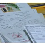 cote-d-ivoire-transport-voici-le-nombre-de-permis-de-conduire-retires-en-3-ans
