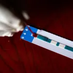 alerte-sante-decouverte-d-un-nouveau-variant-du-vih-l-onusida-juge-urgent-d-enrayer-la-pandemie