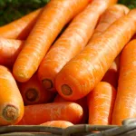 astuce-les-bienfaits-de-la-carotte-sur-la-peau