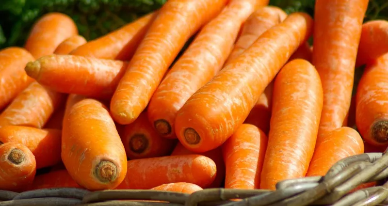 astuce-les-bienfaits-de-la-carotte-sur-la-peau