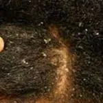 comment-lutter-contre-les-pellicules