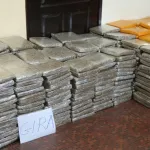 abidjan-sud-une-demie-tonne-de-cannabis-saisie-des-transporteurs-prennent-la-fuite