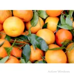 astuces-voici-pourquoi-vous-deviez-absolument-consommer-de-la-clementine