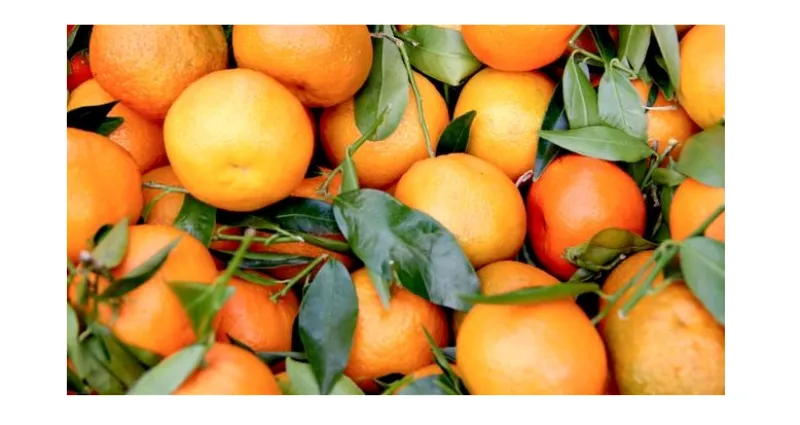 astuces-voici-pourquoi-vous-deviez-absolument-consommer-de-la-clementine
