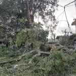 drame-a-grand-bassam-une-branche-tue-deux-personnes