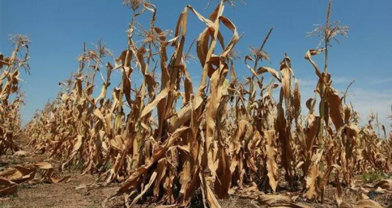 cop-15-lutte-contre-la-desertification-la-cote-d-ivoire-veut-mobiliser-un-millions-de-dollars-aupres-des-bailleurs