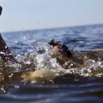 tortiya-un-eleve-de-troisieme-meurt-par-noyade-dans-la-riviere-bouh