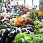 secteur-du-vivrier-quand-le-gouvernement-renforce-la-chaine-de-production-et-d-approvisionnement