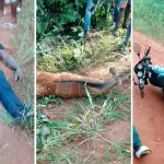 m-batto-un-jeune-macon-percute-a-moto-une-gazelle-et-meurt-l-animal-aussi