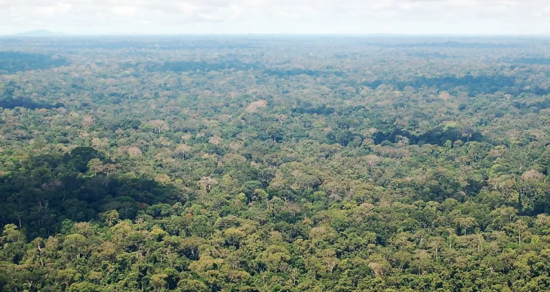 cote-d-ivoire-l-indice-de-vulnerabilite-au-changement-climatique-parmi-les-plus-eleves-au-monde