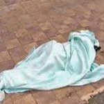 tentant-de-traverser-le-boulevard-pour-rejoindre-une-pinasse-une-femme-tuee-par-un-vehicule-en-plein