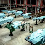 don-de-corps-a-la-science-de-nouvelles-regles-etablies-en-france