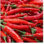 astuces-voici-6-aliments-a-consommer-pour-un-ventre-plat