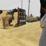 crise-alimentaire-frappe-par-la-secheresse-l-inde-interdit-toute-exportation-de-ble