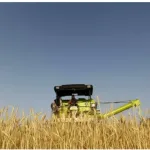 l-inde-sursoit-les-exportations-de-ble-le-g7-tire-la-sonnette-sur-les-risques-d-une-crise-alimentaire-mondiale