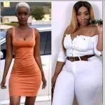 sortie-musicale-dj-lewis-envoie-les-femmes-apoutchou-vs-skinny-sur-le-ring