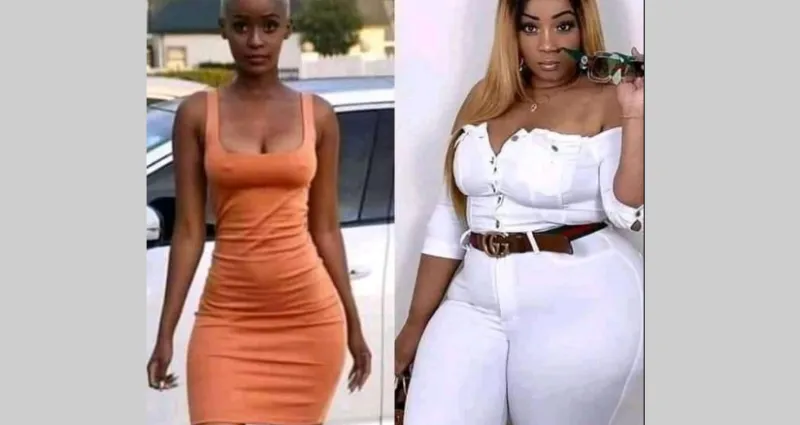 sortie-musicale-dj-lewis-envoie-les-femmes-apoutchou-vs-skinny-sur-le-ring
