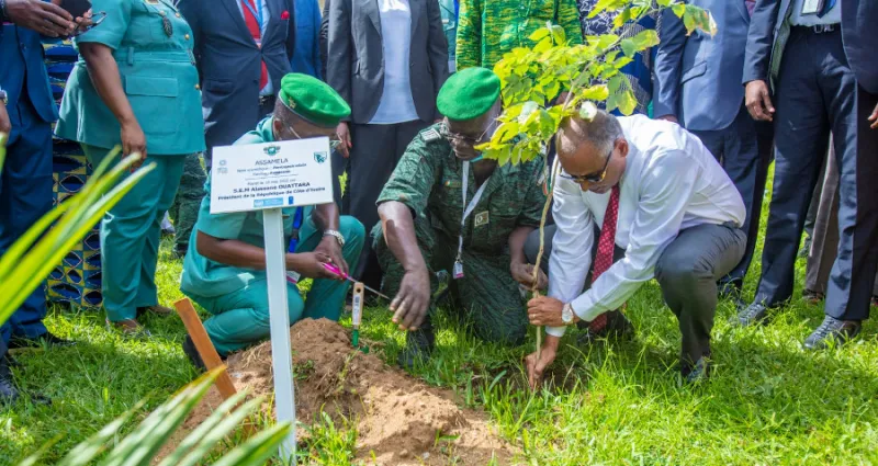 patrick-achi-et-une-vingtaine-de-personnalites-participent-a-une-operation-de-planting-d-arbres