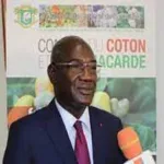 agroforesterie-adama-coulibaly-dg-du-cca-indique-une-avancee