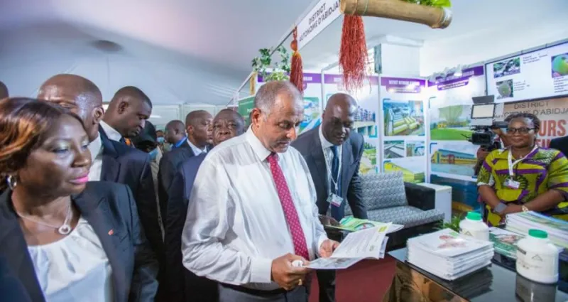 cote-d-ivoire-reconstitution-du-couvert-forestier-environ-38-millions-d-arbres-deja-plantes