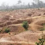 cote-d-ivoire-un-orpailleur-clandestin-et-ses-complices-condamnes-a-dimbokro-une-societe-miniere-impliquee