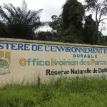 destruction-reserve-naturelle-de-dahlia-fleur-toute-la-verite-les-precisions-du-ministre-siandou-fofana