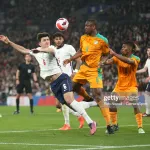 elephants-les-25-de-gasset-une-liste-avec-l-ame-de-beaumelle