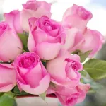 fete-des-meres-voici-5-varietes-de-bouquets-de-fleurs-a-offrir-a-votre-mere