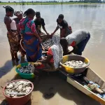 guessabo-daloa-quand-le-changement-climatique-empiete-sur-l-activite-economique-des-mareyeuses-reportage