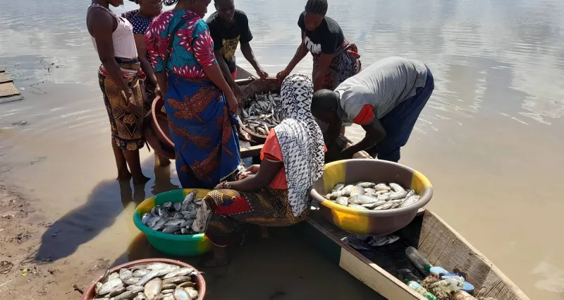 guessabo-daloa-quand-le-changement-climatique-empiete-sur-l-activite-economique-des-mareyeuses-reportage