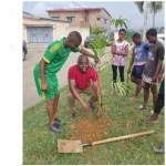 bingerville-les-habitants-de-la-cite-ital-plantent-300-plants-d-arbres