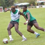 elephants-cornet-bailly-kossounou-et-pepe-forfaits