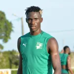 elephants-kamara-et-kossounou-sont-arrives