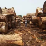 la-cote-d-ivoire-et-l-ue-conviennent-d-un-accord-de-principe-sur-le-commerce-durable-du-bois