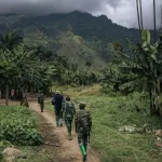 rd-congo-une-vingtaine-de-morts-dans-un-nouveau-massacre-dans-le-nord-est-du-pays