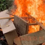 la-police-interpelle-28-individus-a-williamsville-des-fumoirs-detruits