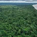 science-amazonie-un-nouveau-secret-revele-une-ancienne-civilisation-perdue-decouverte-en-pleine-foret