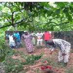 bangolo-une-femme-decapitee-dans-son-champ-de-cacao-les-meurtriers-emportent-sa-tete-les-circonstances-du-drame