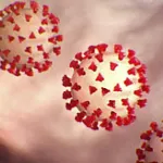 covid-19-ce-que-l-on-sait-des-sous-variants-ba-4-et-ba-5-qui-laissent-presager-une-7e-vague