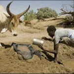 secheresse-plus-de-18-millions-de-personnes-en-situation-d-insecurite-alimentaire-dans-le-corne-de-l-afrique