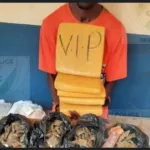 boundiali-des-blocs-de-cannabis-saisis-dans-un-sac-de-riz-un-suspect-interpelle