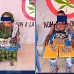 trafic-de-drogue-une-commercante-de-56-ans-interpellee-940-gelules-de-tramadol-en-sa-possession