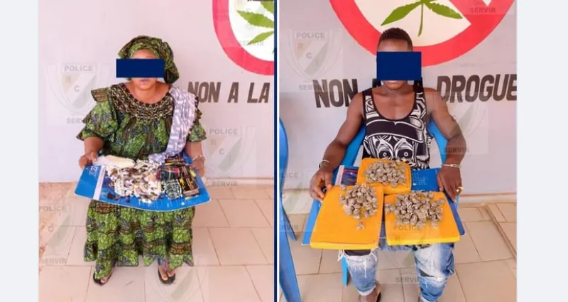 trafic-de-drogue-une-commercante-de-56-ans-interpellee-940-gelules-de-tramadol-en-sa-possession